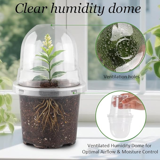 RooTrimmer Transparent Nursery Pots 4Inch with Humidity Domes for Seeds Starting, Clear Plastic Plant Pots with Drainage Holes (4Inch, 30Pcs,Clear Pots with Lids)