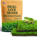 Live Moss Duo Pack 2 Types of Real Live Sheet/Sphagnum Moss for Terrariums, Terrarium Mosses Landscaping, Reptile Tank Accessories, Snake & Gecko Humidity Substrate Mosses for Crafts & Plant Décor