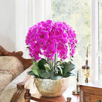 FagusHome 32 Inch Artificial Phalaenopsis Flowers 6 Pcs Artificial Orchid Flowers Stem Plants for Home Décor (Purple)