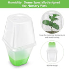 Sckee Clear Nursery Pots for Plants, 30 Packs Plastic Seed Starting Pots with Drainage Holes Plant Nursery Pots Silicone Base (Light Green, 3.1 inch with lids)