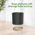 8/7/6 inch Flower Pots, 3 Pack Cylinder Plant Pots for Outdoor Indoor Plants, Decorative Plastic Planters with Drainage Holes and Saucers for Garden House Plants, Black with Brown
