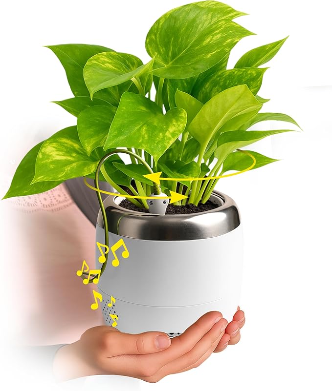 PLANTPETZ Large Robotic Planter – Smart Planter Fits 4 Inch Pots | Bluetooth Speaker | Interactive Smart Plant Pot Turns A Real Plant Into a Touch/Motion Responsive Companion - Pure Ivory White