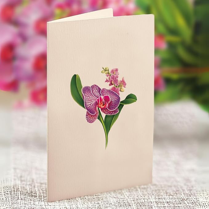 Freshcut Paper Pop Up Cards, Mini Orchid Oasis (Set of 2), 6 Inch Mini Sized Forever Flower Bouquet 3D Popup Greeting Cards, Birthday Card, Get Well Gifts, Blank Notecard & Envelope