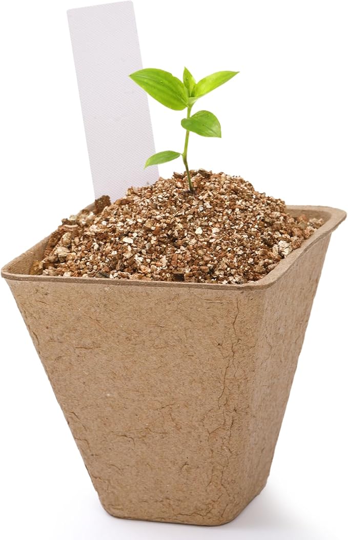 50 Sets 3 Inch Peat Pots, Biodegradable Plant Nursery Pots with Humidity Dome, Seed Starter Pots Kits with 50 Plant Labels for Flower, Vegetable, Herb Seed Germination