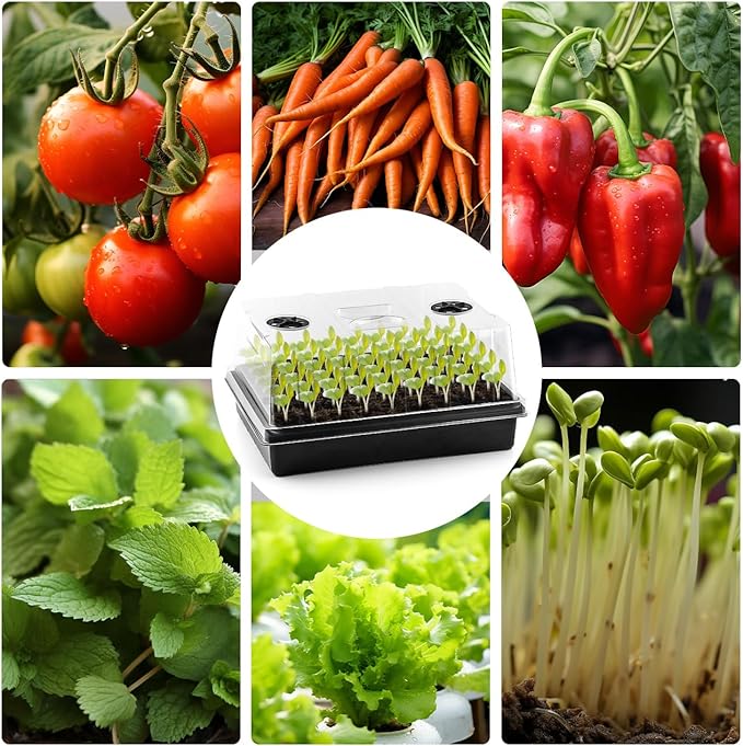 RooTrimmer 4-Pack Seed Starter Trays with 5'' Tall Humidity Domes – Reusable Plant Germination Kit for Microgreens, Herbs & Indoor Gardening | Clear Vented Lids, Fast Seedling Growth & Durable Design