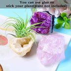 4 Pieces Tillandsia Air Plant Crystals Holder Small Air Plant Pot for Air Plants Home Decor Display (Air Plant Not Included)