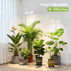 White Grow Light, Full Spectrum LED Plant Lighs for Indoor Growing with 6/12/16H Timer, 3 Color Modes, 5 Brightness, 10"-60" Height Adjustable Plant Lamp for Tall Indoor Plants (3 Pack)