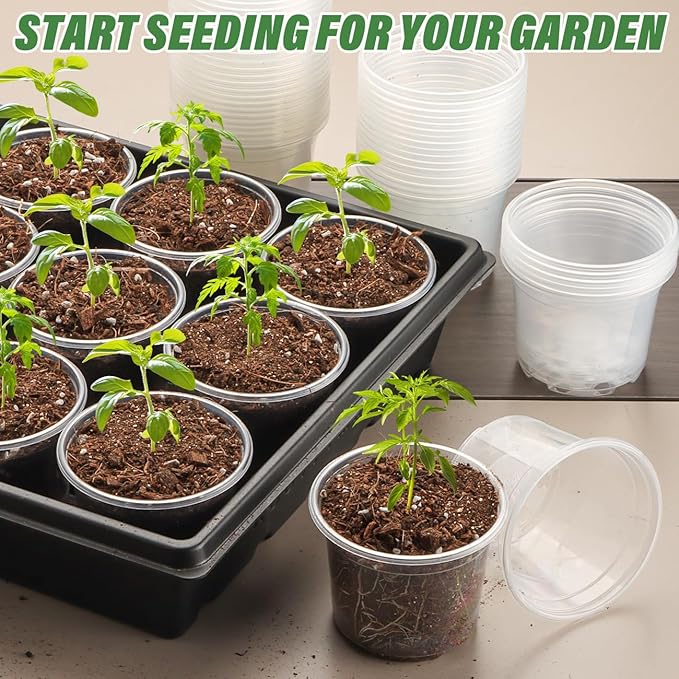RooTrimmer Clear Seedling pots 100-Pack 3.2 Inches Round for Seeds Starter Pots, Seeds Germination Transparent Clean Pots with Drainage Holes(100 Pcs, 3.14Inch)