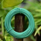 YDSL 66 Feet Soft Plant Tie, Green Twist Garden Ties for Plants, Office Organization and Home(Diameter - 2.5MM)