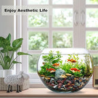 5LB Succulents Rocks for Plants Cactus Gravel Pebbles for Fish Tank 1/2 Inch Natural River Rocks for Vase, Aquarium, Landscaping,Bonsai,Terrarium Pebbles, Mixed Color