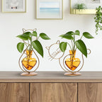 Plant Terrarium Plants Propagation Station Cat Lover Gifts for Women Home Office Decor Cat Desk Accessories
