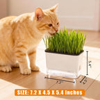Self-Watering Cat Grass Planter (no Seed Included), with Drainage Holes and Anti-Digging Design, Wheat Grass Growing Pot, Cat Grass for Indoor Cats Pets (1)