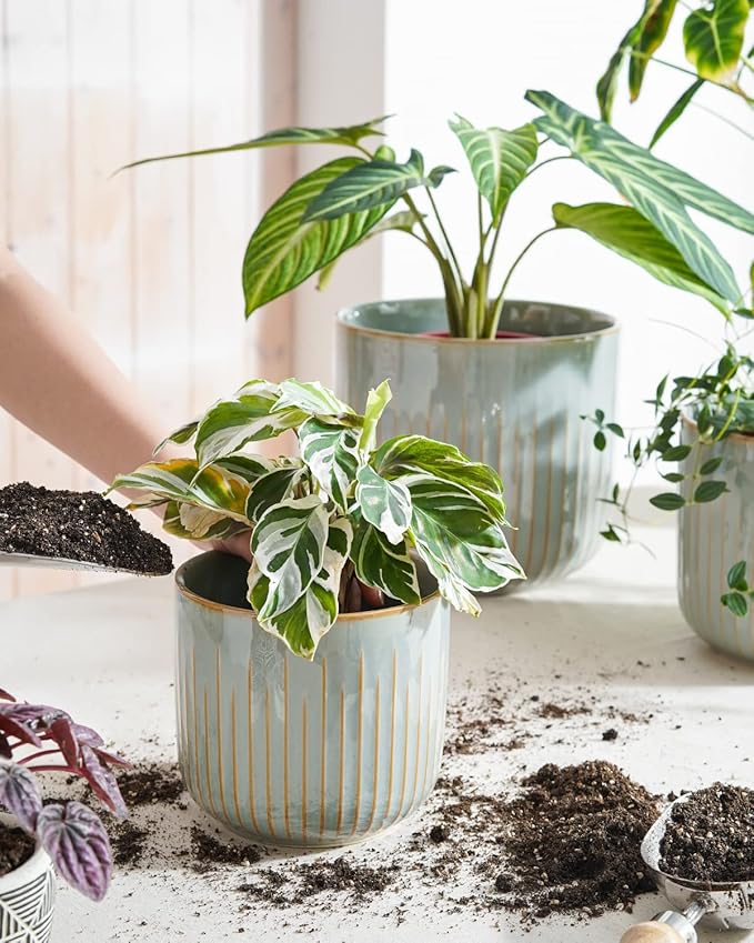 LE TAUCI Ceramic Pots for Plants, 8.3/7/6 Inch Indoor Planters with Drainage Holes & Mesh, Modern Glossy Glaze Cylinder Fluted Plant Pot for Snake Plant, Set of 3, Mist Gray