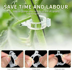 200 Pack Secured Plastic Plant Clips, 2024 Combinable Plant Support Clips, Plastic Trellis Clips for Climbing Plants, Vine Vegetables Fixing Clips, Plant Clips for Tomato Trellis & Peony Cages