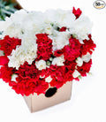 KaBloom - 50 Red And White Carnation - Fresh Flowers for Birthday, Valentine's & Mother's Day