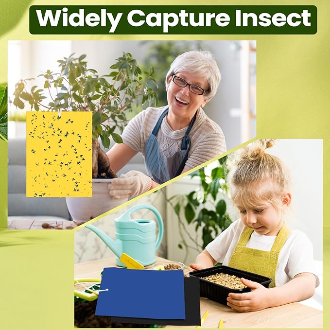 Qualirey 150 Pcs 6 x 8 Inch Sticky Traps for Plant Double Sided Sticky Trap for Gnats with Twist Ties Fly Traps for Fruit Insect Fungus Bugs Indoor Outdoor (Yellow,Blue,Black)