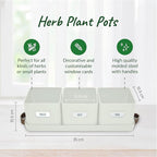 volila Herb Planter Indoor - Set of 3 Warmstone Indoor Herb Garden Pots for Plants with Leather Handled Tray - Window Sill Plant Shelf - Herb Pots with Drainage Holes and Labels
