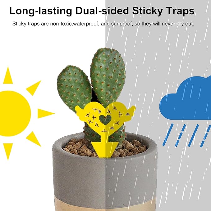 36PCS Fruit Fly Sticky Traps Fungus Gnat Traps Insect Trap for Plants Kitchen Indoor Outdoor White Flies Mosquitos Fungus Gnats Flying Insects Houseplant Gifts (Love Shape)