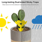 36PCS Fruit Fly Sticky Traps Fungus Gnat Traps Insect Trap for Plants Kitchen Indoor Outdoor White Flies Mosquitos Fungus Gnats Flying Insects Houseplant Gifts (Love Shape)