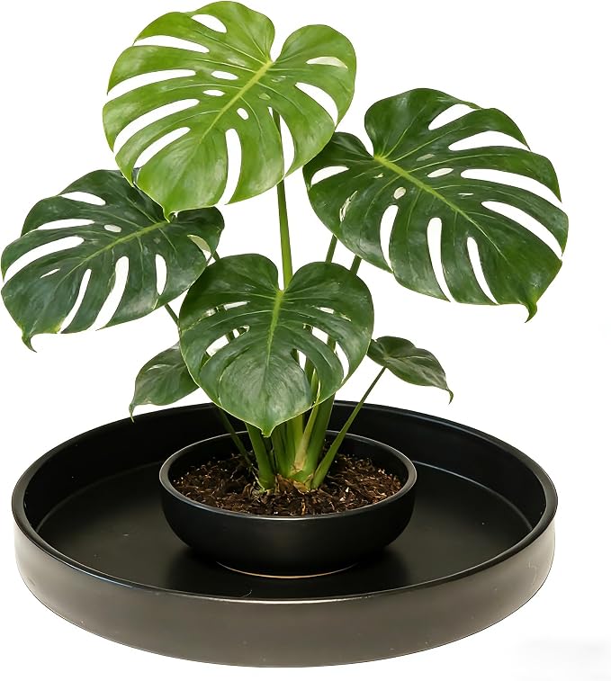 1 Pack 14 inch Plant Saucer Drip Tray, Heavy Sturdy Plastic Planter Flower Pot Drainage Tray Plate Saucers for Indoor Outdoor Garden, Plant Water Drip Trays for pots Base (14", Black)
