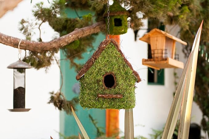 SuperMoss (56012) Maison Birdhouse with Chain, 11 by 12-Inch, Fresh Green (Pack of 3)