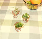 Geometric Air Plant Holder Airplants Rack Metal Plants Stand Planter Shelves Himmeli Living Decor Tillandsia Pot Containers (Rose gold 3pcs)