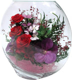Fiora Flower | Long Lasting Real Roses in a Sealed Vase | Lasts up to 5 Years | Unique Present Gift (Enigma)