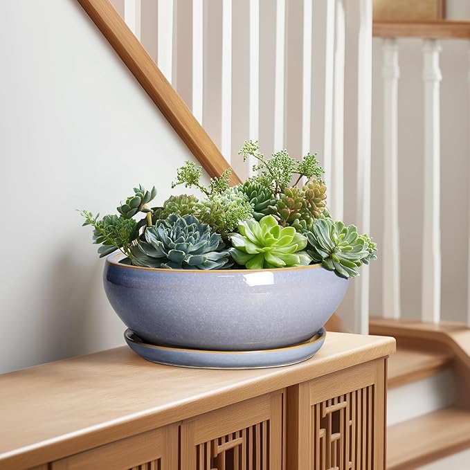 SQOWL Succulent Pots - 10 Inch Ceramic Bonsai Pots with Drainage Hole and Saucer, Round Shallow Planter for Indoor Outdoor Plants, Ceramic Planter Bowl, Home Decor, Gardening Gifts, Blue