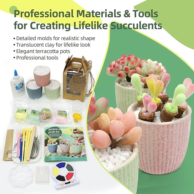 Microland Air Dry Clay Art Set Fake Succulents Flower Making Kit Adult Arts and Crafts for Women Creative Craft Kits for Teens DIY Mini Plant Crafting Set Crafty Flower Gift Artist Gift for Mother Fun