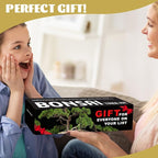 Bonsai Tree Kit with Complete Growing Starter Kit, Great Potted Growing DIY Gift for Adults