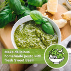 Sow Right Seeds - Genovese Sweet Basil Seed for Planting - Non-GMO Heirloom Packet with Instructions to Plant and Grow a Kitchen Herb Garden - Indoors or Outdoor - Great for Hydroponic Gardening (4)