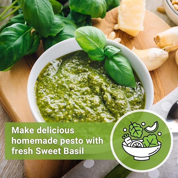 Sow Right Seeds - Genovese Sweet Basil Seed for Planting - Non-GMO Heirloom Packet with Instructions to Plant and Grow a Kitchen Herb Garden - Indoors or Outdoor - Great for Hydroponic Gardening (2)