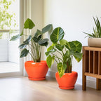 Ceramic Planter - 10 Inch 8 Inch 6 Inch Plant Pot with Drainage Holes and Saucers, Round Planters for Indoor Outdoor, Modern Flower Pots, House Garden Room Decor, Gardening Gifts, Orange