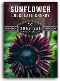 Chocolate Cherry Sunflower Seeds for Planting | Rare Burgundy Black Blooms, 6-7ft Giant Non-GMO Heirloom Flower - Survival Garden Seeds (5 Packs)