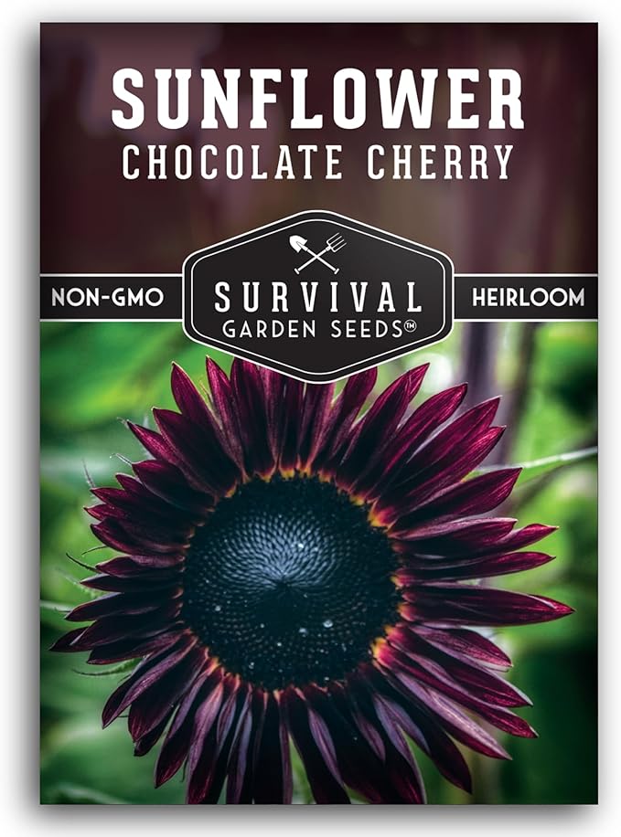 Chocolate Cherry Sunflower Seeds for Planting | Rare Burgundy Black Blooms, 6-7ft Giant Non-GMO Heirloom Flower - Survival Garden Seeds (1 Pack)