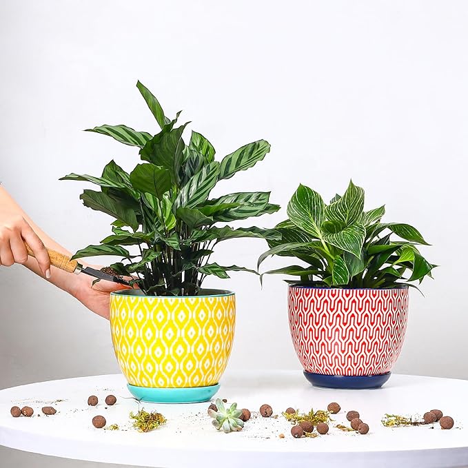 Selamica Ceramica Plant Pots, 6.5 Inch Flower Pots Set of 2 with Drainage Holes & Saucer, Planters for Indoor Plants, Home Decor, Assorted Colors