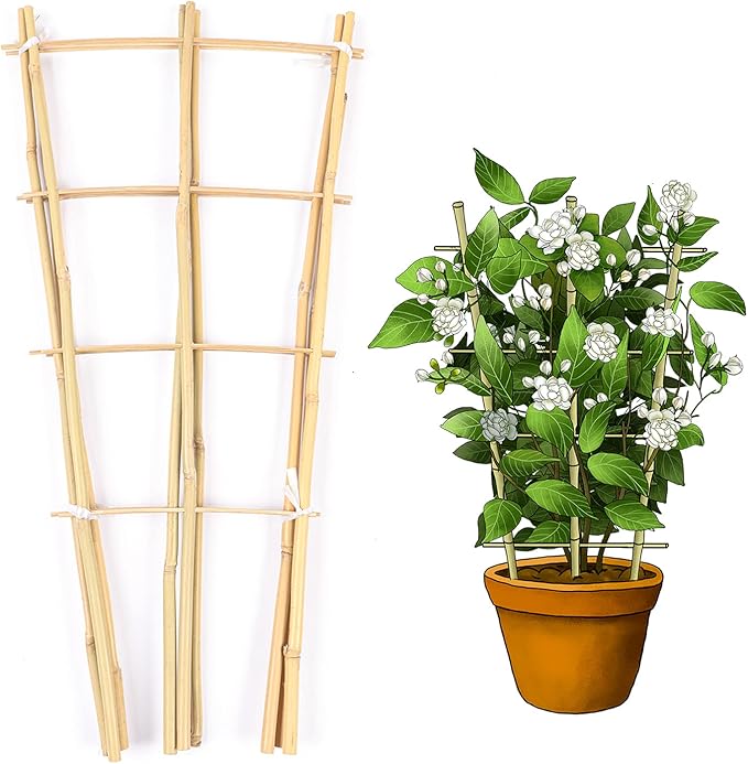 Cambaverd Trellis for Climbing Plants Indoor Outdoor, Natural Bamboo Trellis 24 Inch, 3 Pack Garden Trellis for Potted Plants, Ivy, Monstera, Houseplants