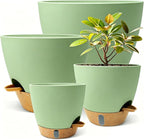 MNKXL 12"/10"/9"/8" Self Watering Pots with Visual Water Window,Extra Large Self Watering Plant Pots with Drainage Holes & Saucers,Green Planters for Indoor Plants,4-Pack