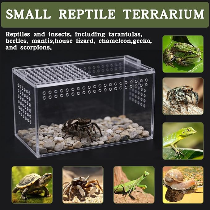 Acrylic Jumping Spider Enclosure Kit,Reptile Tank Escape Proof,Breathable Reptile Terrarium-High Transparency-Tweezer & Temp Sticker Included【No Assembly】