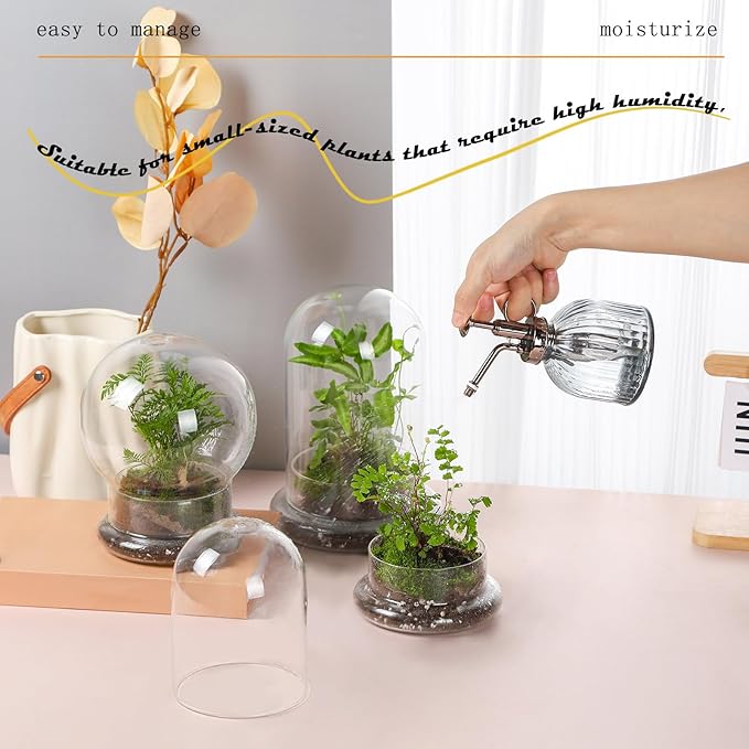 WHJY 8 inches Glass Cloche for Indoor Plants Small Terrarium Glass Cloche with Base Mini Cloche Dome with Base for Display Home Decor