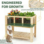 Raised Garden Bed for Small Balcony, 28.3''x16.3''x23.6'' Wood Planter Box with Transparent Window, Drainage Holes, Storage Shelf, Garden Beds Flower Stand Patio Kitchen, Gift for Gardening
