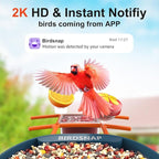 birdsnap® PAV-Bird Feeder with Camera,2K HD with 32GB Card, AI Identify Smart Bird House Cam Solar Panel,Live Stream,Motion Detection,Auto Record Video for Backyard Outdoors,Ideal Gift for Bird Lover
