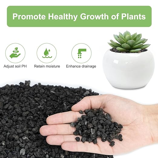 Pulovin 2.5lbs Lava Rocks for Plants, 1/5 Inch Black Gravel for Succulent, Cactus, Bonsai Tree, Pure Volcanic Rocks, Top-Dressing, Good Drainage