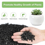Pulovin 5 lbs Pebbles for Indoor Plants, Succulent, Cactus, 1/5 Inch Small Lava Rock for Plants Drainage, Natural Horticultural Volcanic Rock, Top-Dressing