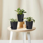5 Pack 5 inch Self-Watering Pots, African Violets Planter with Drainage Holes and Reservoir, Black Plastic Planter for Indoor Outdoor Plants Flowers and Houseplants Black, 5 inch 5 pcs