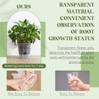 Wonderjune Self Watering Pots for Indoor Plants with Deep Reservoir and High Drainage Holes for Outdoor Plants and Flowers, Bare Root Planter(4.72'',Clear,9 Pcs)