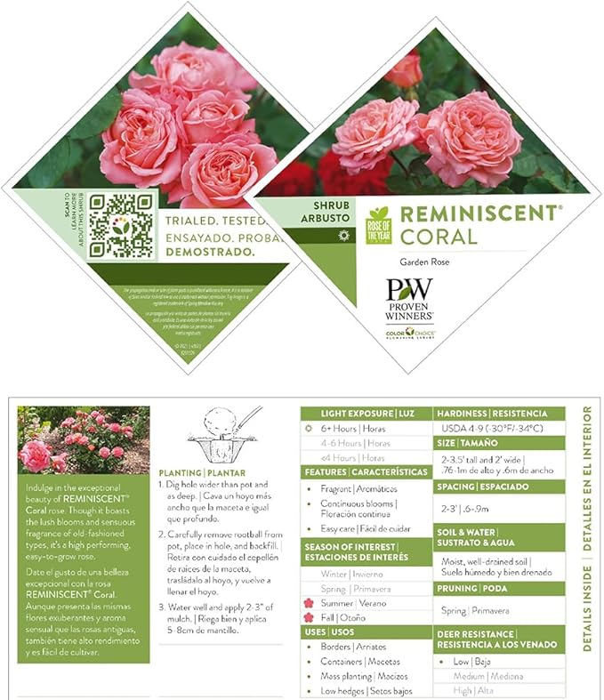 Proven Winners 2 Gal. Reminiscent Coral Rose Shrub