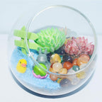 2Lb Pebbles for Indoor Plants, Vase, Succulent, Bamboo, 1/3" Plant Rocks for Pots Indoor, Small Decorative Colorful Agate Stone for Home Decor, Highly Polished