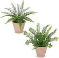 2 Pack Artificial Fern Potted Plant, Faux Fern Plant Small Fake Plants in Pot for Home Office Farmhouse Living Room Bathroom Kitchen Tabletop Desk Shelf Decoration
