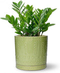 Ceramic Pots for Plants, 8 Inch Plant Pot with Drainage Hole and Tray, Round Planters for Indoor Plants, Modern Flower Pot, Decorative Planter, Living Room Decor, Gardening Gifts, Green